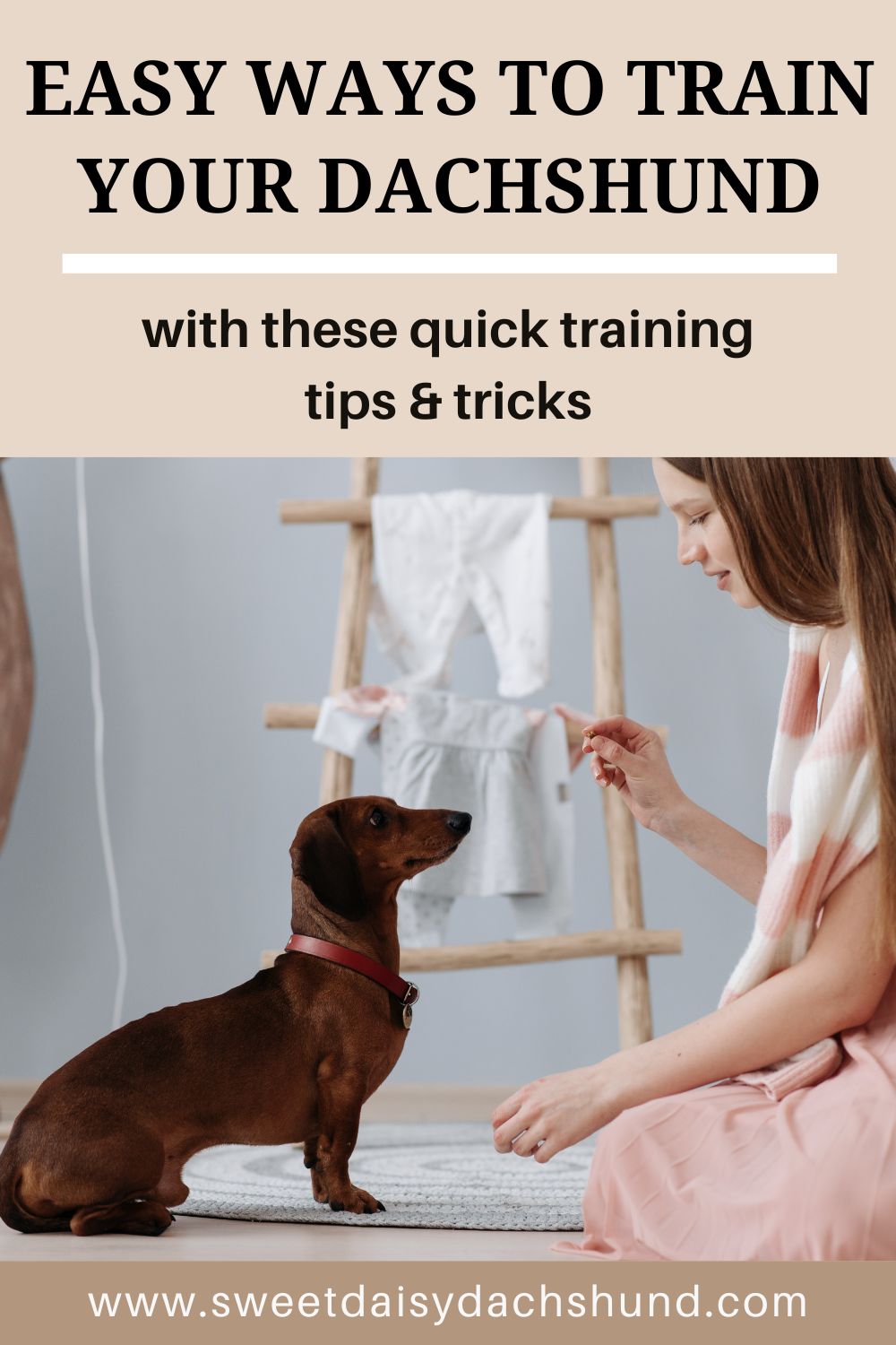 Dachshund Training Tips Sweet Daisy Dachshund dachshund-training-tips-sweet-daisy-dachshund